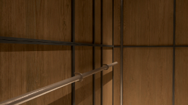 ELEVATE CLASSIC ELEGANT ELEVATOR DESIGN 2