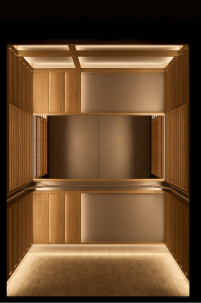 ELEVATE URBAN MODERN ELEVATOR CABIN DESIGN