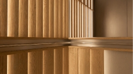 ELEVATE URBAN ELEVATOR CABIN DESIGN 2